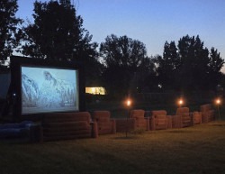 20250522 212122201 1748278790 Movie Night